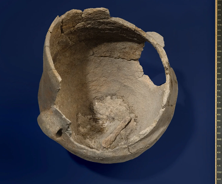 Essensreste in Keramikgefäßen Was aßen die Menschen in Nord- und Mitteleuropa vor 5.000 Jahren?